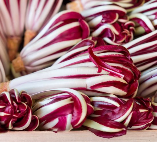 radicchio-trevigiano-igp-002